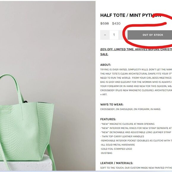 NWT Mint Python Embossed Leather Half Tote Work Bag Ampersand As Apostrophe - Picture 8 of 12